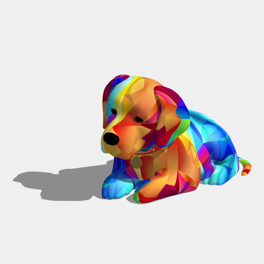 Rainbow Dog