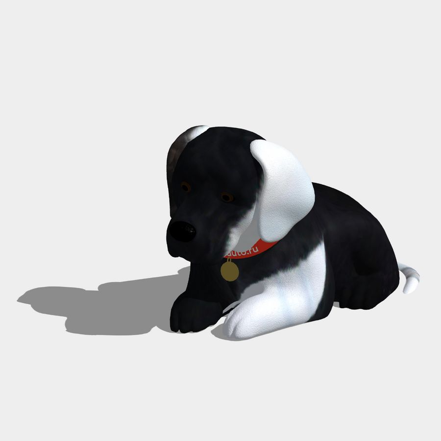 Ньюфаундленд