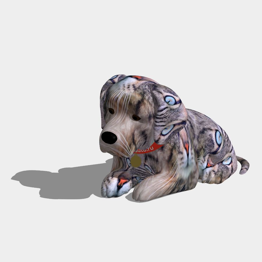 универсальное решение для тех кто любит собак и кошек одинаково