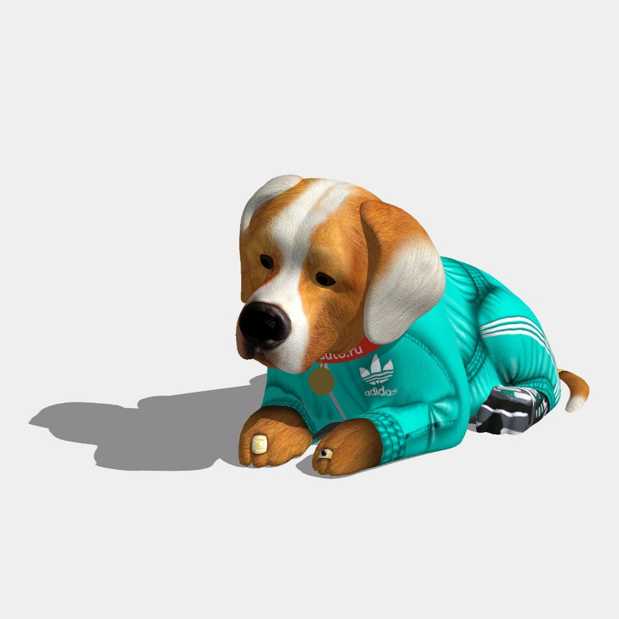 Пёс "Браток"