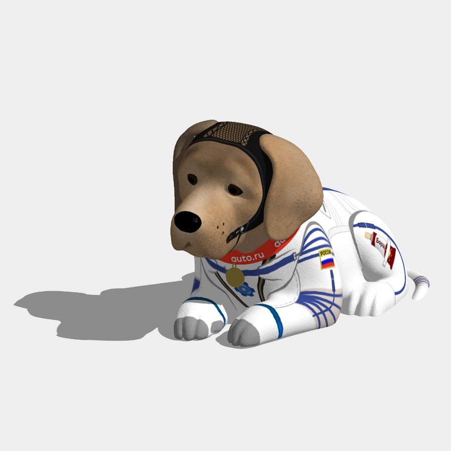 Земля в иллюминаторе