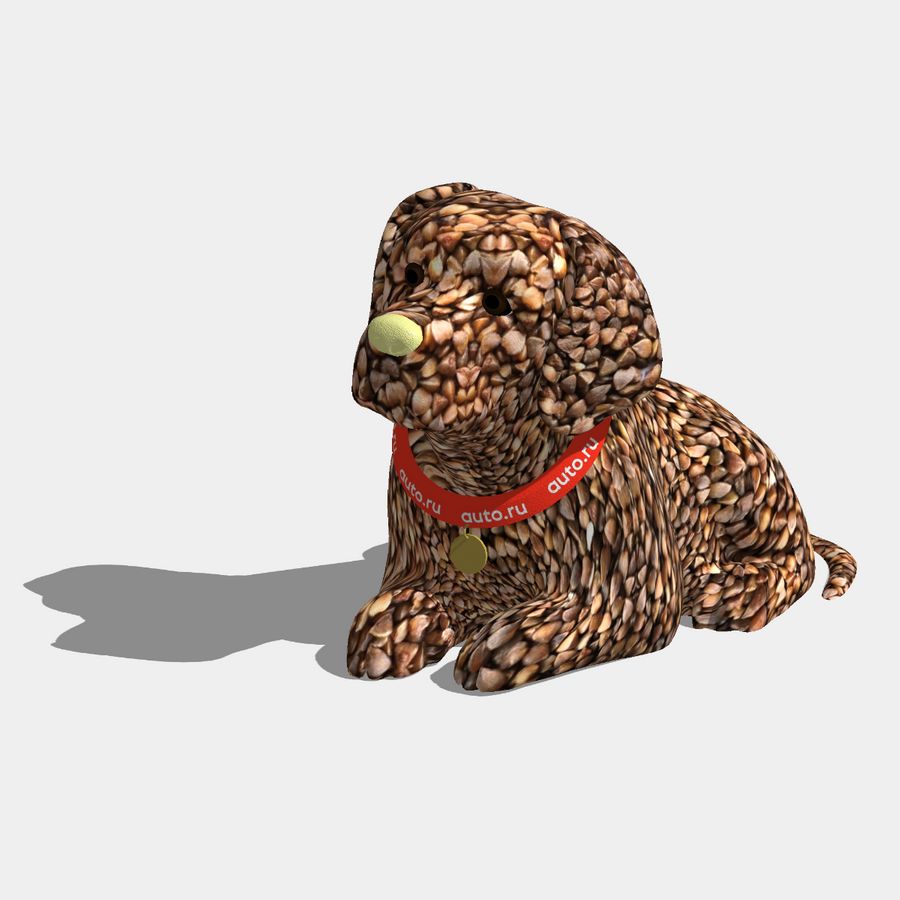 Гречка маслоносая