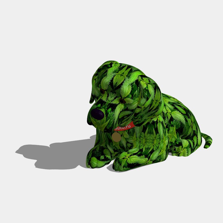 Жгучая крапива